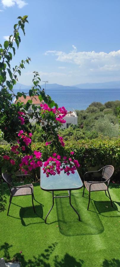 Seaside Boutique Villa Волос Екстериор снимка