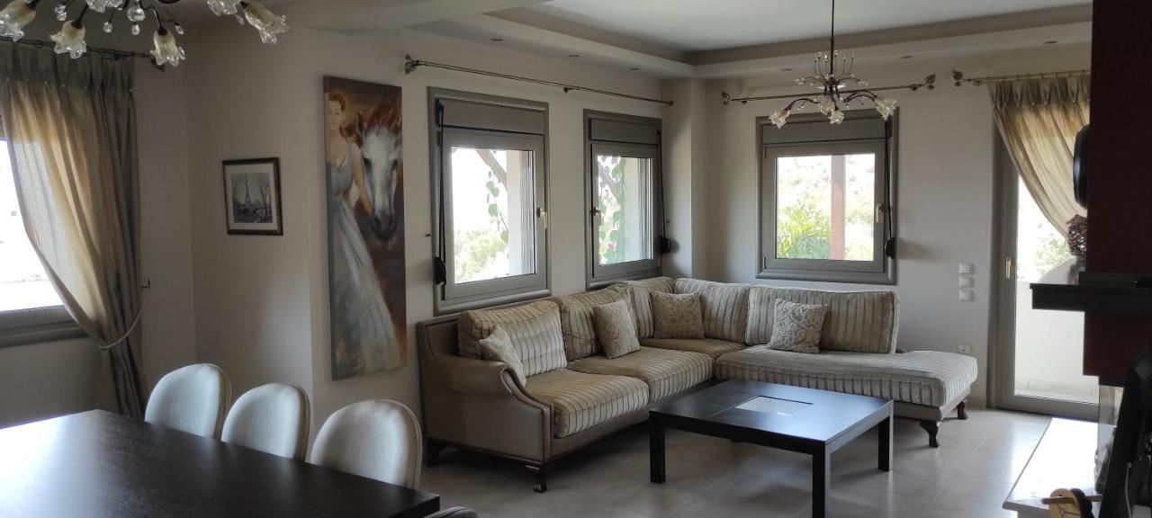 Seaside Boutique Villa Волос Екстериор снимка